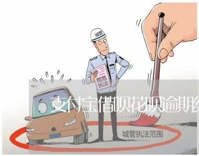 支付宝借呗花呗逾期经历/2023022770503 支付宝借呗花呗逾期经历/2023022770503