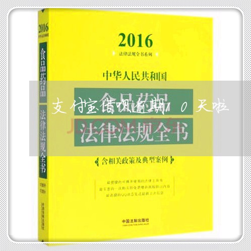 支付宝借呗逾期10天啦/2023020408389