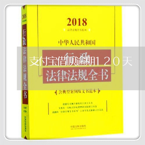 支付宝借呗逾期120天/2023021071424