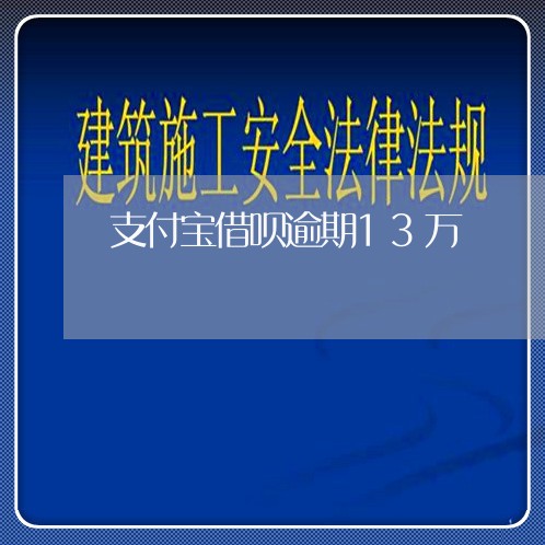 支付宝借呗逾期13万/2023021014726