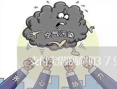支付宝借呗逾期379天/2023022481945