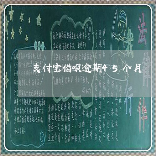 支付宝借呗逾期45个月/2023021160541