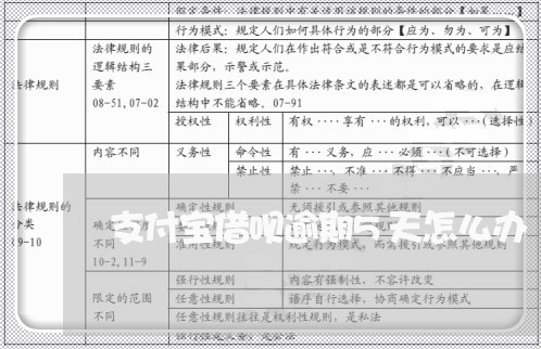 支付宝借呗逾期5天怎么办/2023100862483