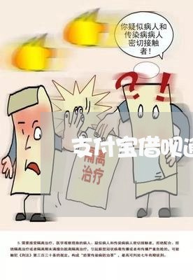 支付宝借呗逾期8个小时/2023020965120