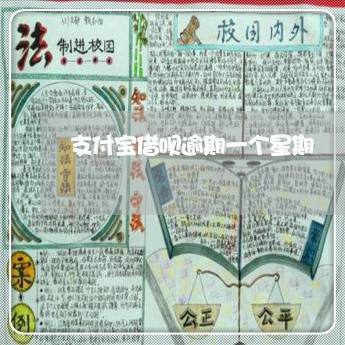 支付宝借呗逾期一个星期/2023030198591