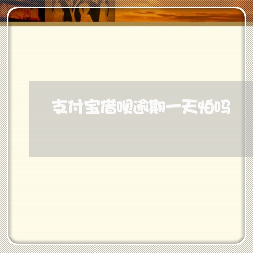 支付宝借呗逾期一天怕吗/2023022806260 支付宝借呗逾期一天怕吗/2023022806260