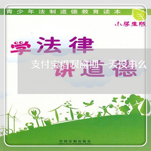 支付宝借呗逾期一天没事么/2023030139371 支付宝借呗逾期一天没事么/2023030139371