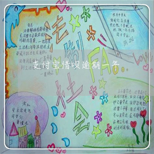 支付宝借呗逾期一年/2023030140502