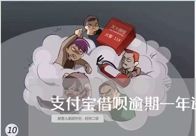 支付宝借呗逾期一年还了/2023061515969