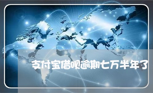 支付宝借呗逾期七万半年了/2023061562584