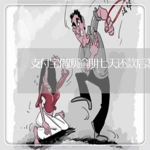 支付宝借呗逾期七天还款后怎么办 支付宝借呗逾期七天还款后怎么办