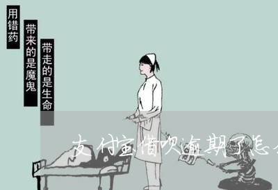 支付宝借呗逾期了怎么分期/2023030128374
