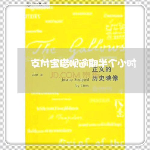 支付宝借呗逾期半个小时