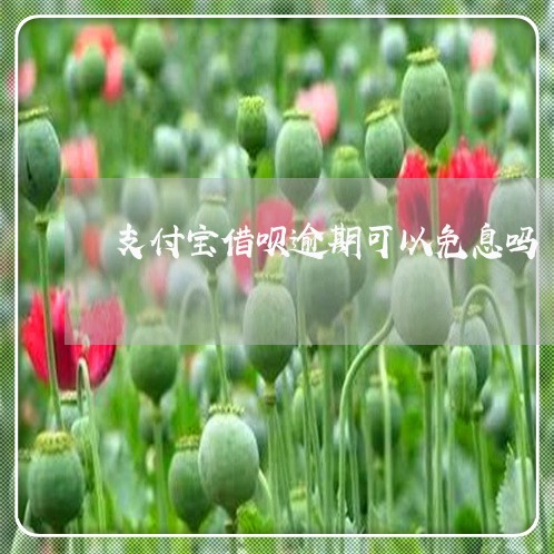 支付宝借呗逾期可以免息吗/2023022802824 支付宝借呗逾期可以免息吗/2023022802824