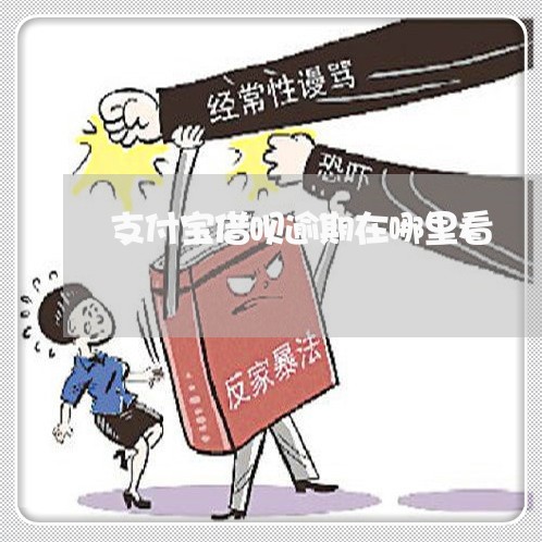 支付宝借呗逾期在哪里看/2023012247280 支付宝借呗逾期在哪里看/2023012247280