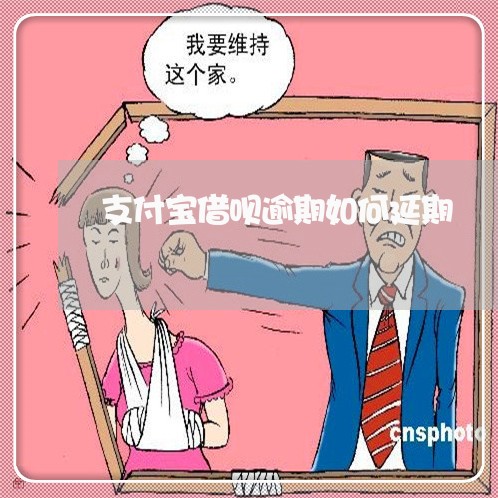 支付宝借呗逾期如何延期/2023020907083