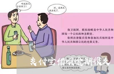 支付宝借呗逾期很久/2023012235169 支付宝借呗逾期很久/2023012235169