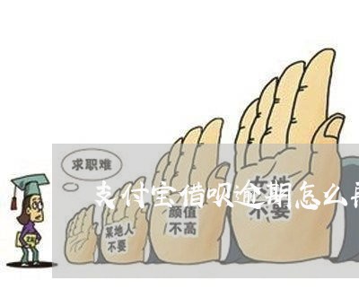 支付宝借呗逾期怎么再分期/2023030168270 支付宝借呗逾期怎么再分期/2023030168270