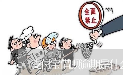 支付宝借呗逾期是什么/2023030107470