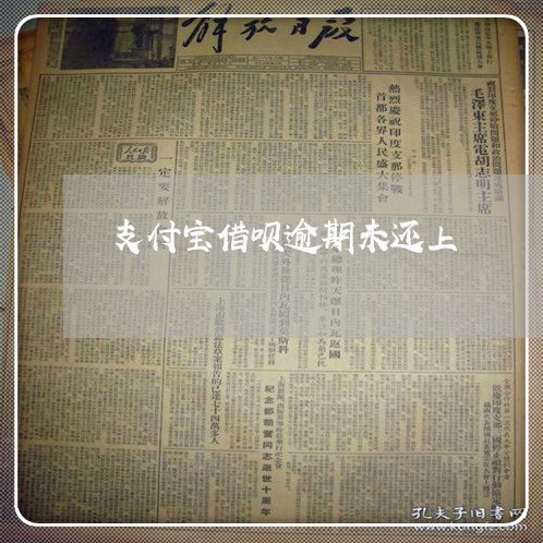 支付宝借呗逾期未还上/2023030226472