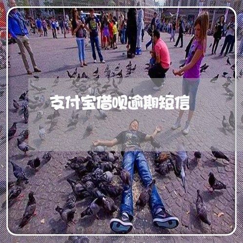 支付宝借呗逾期短信/2023022535149 支付宝借呗逾期短信/2023022535149