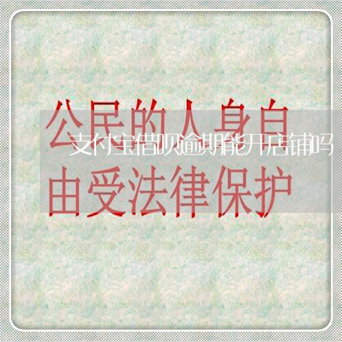 支付宝借呗逾期能开店铺吗/2023022838403 支付宝借呗逾期能开店铺吗/2023022838403