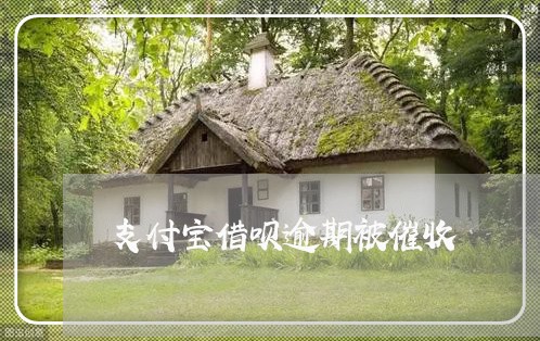 支付宝借呗逾期被催收/2023030295947 支付宝借呗逾期被催收/2023030295947