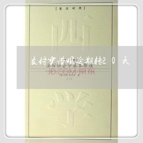 支付宝借呗逾期转20天/2023022479263