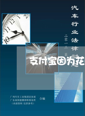 支付宝因为花呗逾期关闭支付功能/2023030141624 支付宝因为花呗逾期关闭支付功能/2023030141624