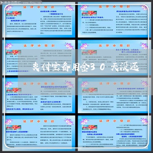 支付宝备用金30天没还/2023012156248