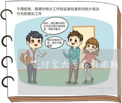 支付宝大号花呗逾期/2023030169404 支付宝大号花呗逾期/2023030169404