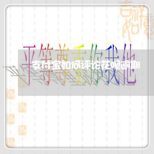 支付宝如何评论花呗逾期/2023030171527