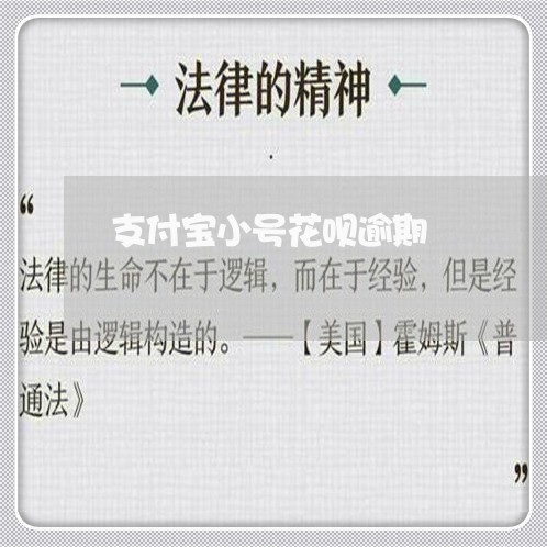 支付宝小号花呗逾期/2023061818382