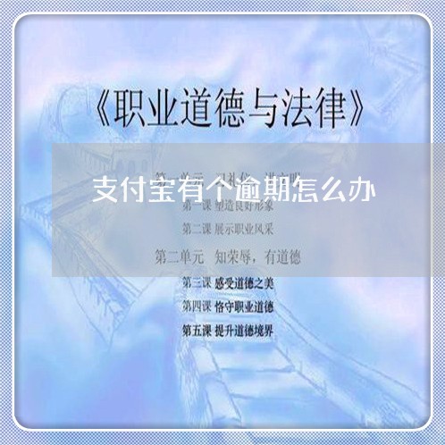 支付宝有个逾期怎么办