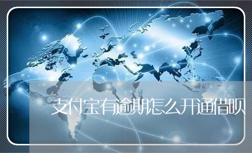 支付宝有逾期怎么开通借呗/2023100884838