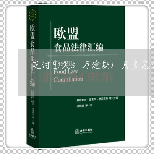 支付宝欠5万逾期1月多怎么办/2023100894926