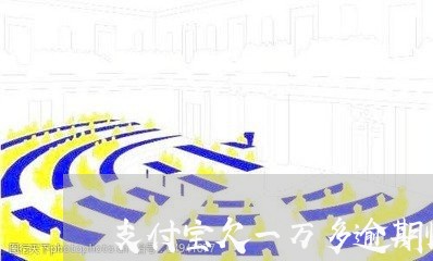 支付宝欠一万多逾期快一年