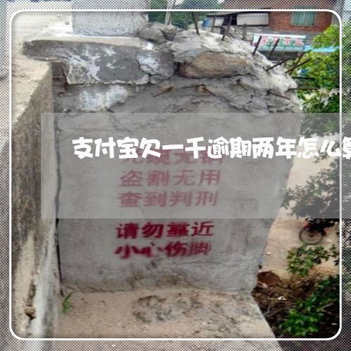 支付宝欠一千逾期两年怎么算 支付宝欠一千逾期两年怎么算