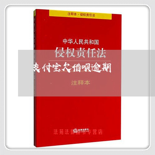 支付宝欠借呗逾期/2023030173906 支付宝欠借呗逾期/2023030173906