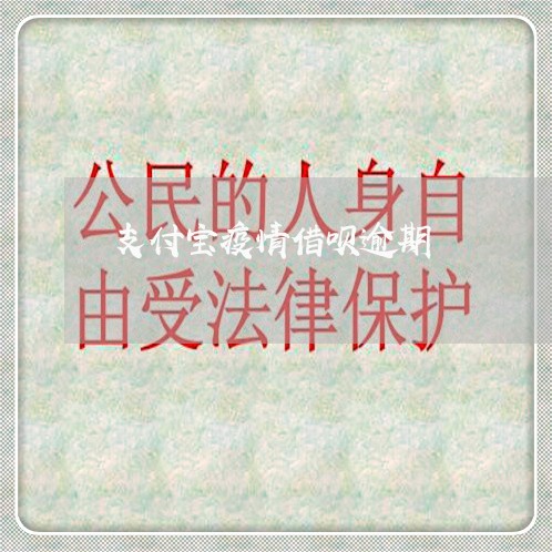 支付宝疫情借呗逾期/2023030170705 支付宝疫情借呗逾期/2023030170705