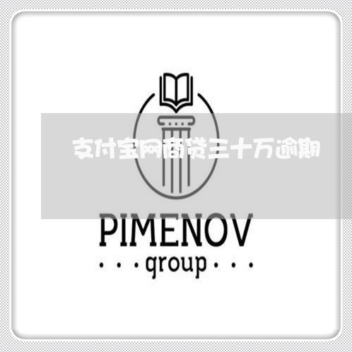 支付宝网商贷三十万逾期/2023030158484 支付宝网商贷三十万逾期/2023030158484