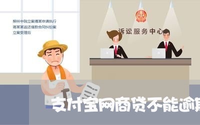 支付宝网商贷不能逾期/2023030152824