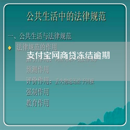 支付宝网商贷冻结逾期/2023030103735