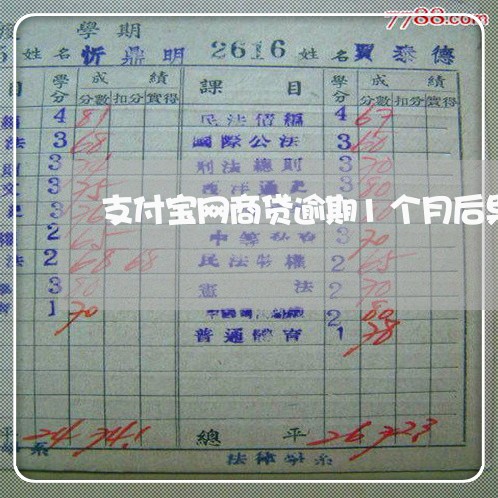 支付宝网商贷逾期1个月后果