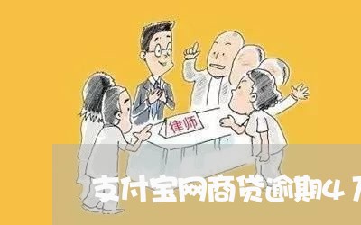 支付宝网商贷逾期4万/2023012995040