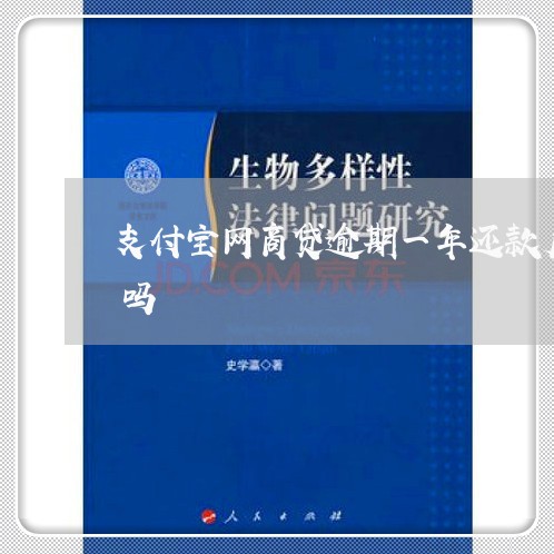 支付宝网商贷逾期一年还款后还能继续使用吗