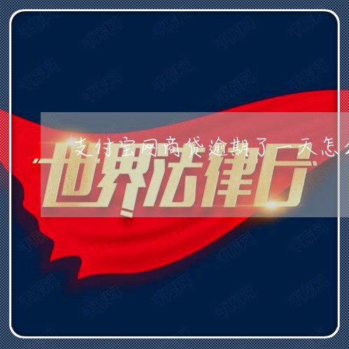 支付宝网商贷逾期了一天怎么办 支付宝网商贷逾期了一天怎么办