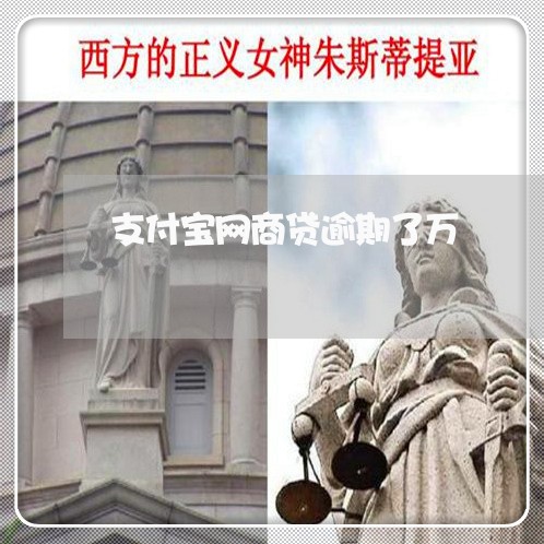 支付宝网商贷逾期了万/2023120998482