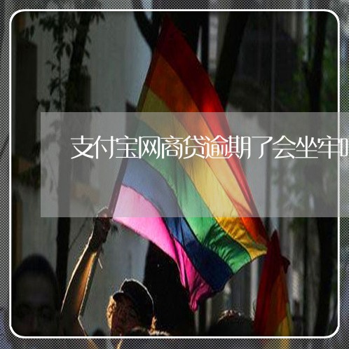 支付宝网商贷逾期了会坐牢吗 支付宝网商贷逾期了会坐牢吗