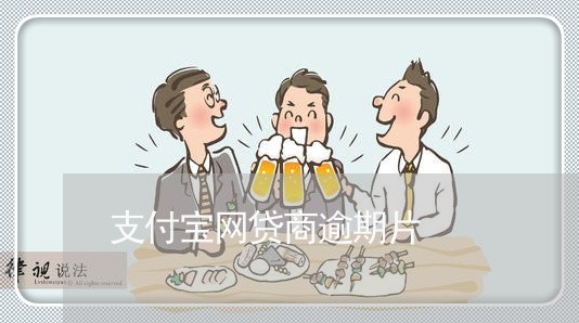 支付宝网贷商逾期片/2023030136058
